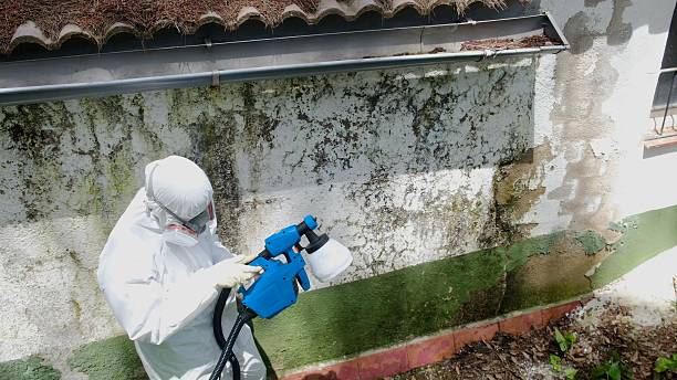 Trusted Mold Testing service in Salix, PA - Cheap Mold Removal